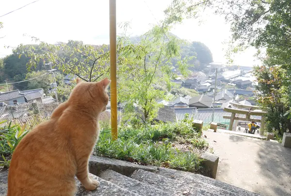 豊玉姫神社