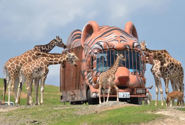 九州自然動物公園アフリカンサファリ