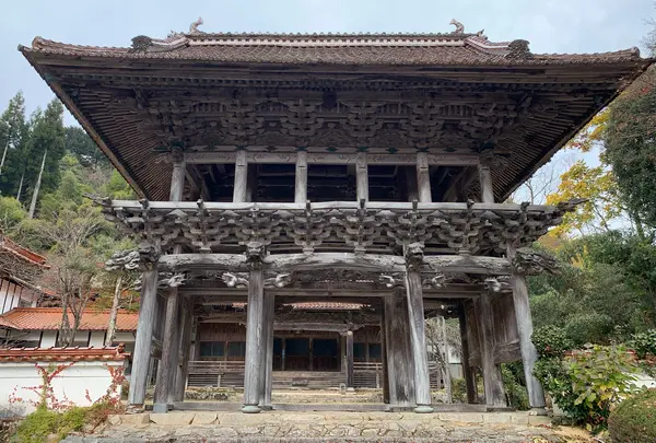 西蓮寺の写真・動画_image_1023850