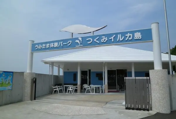 つくみイルカ島