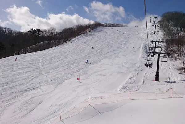 みやぎ蔵王 セントメリースキー場