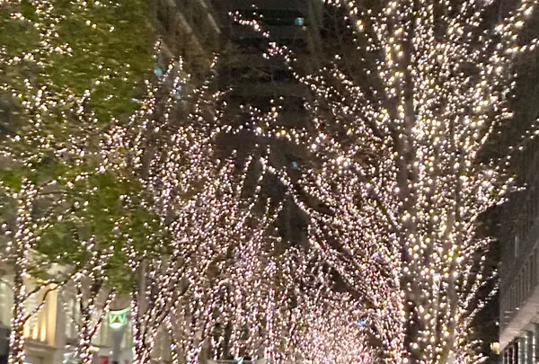 丸の内ストリートパーク　イルミネーション