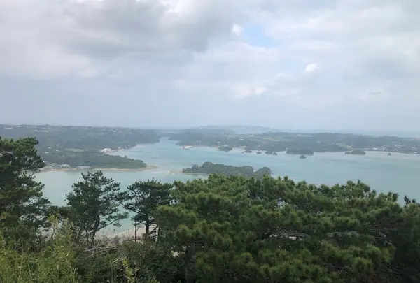 嵐山展望台の写真・動画_image_1032352