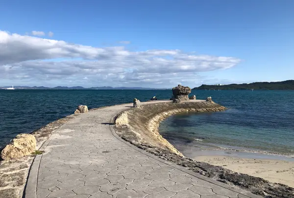 海の駅 あやはし館の写真・動画_image_1032369