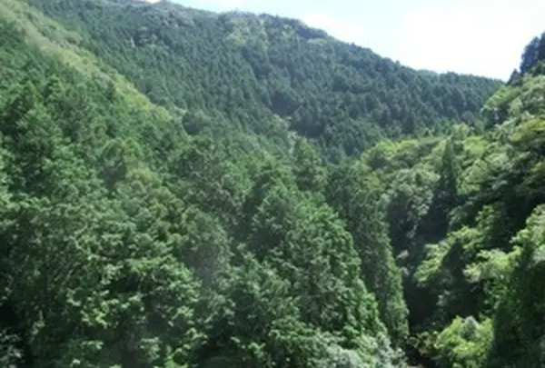 犬鳴山渓谷の写真・動画_image_1033334