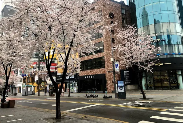 新村駅