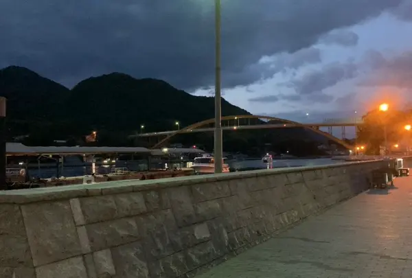 瀬戸田港の写真・動画_image_1034903