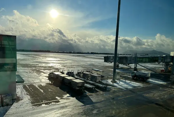函館空港の写真・動画_image_1034953