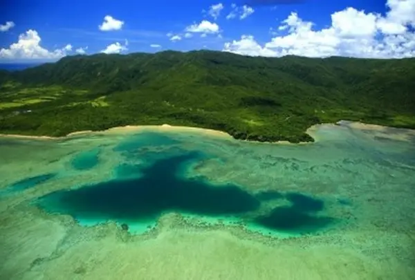西表島