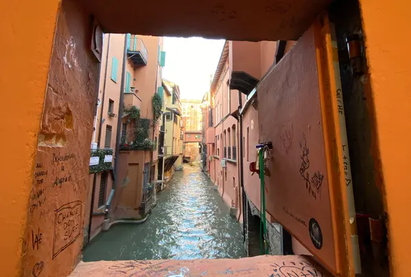 Finestrella