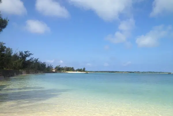 佐和田の浜