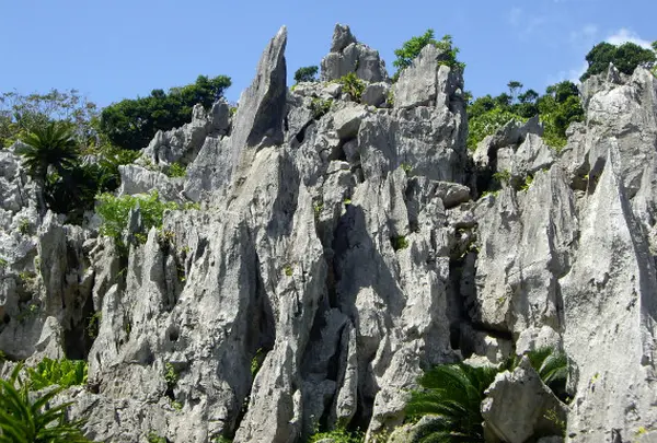 大石林山