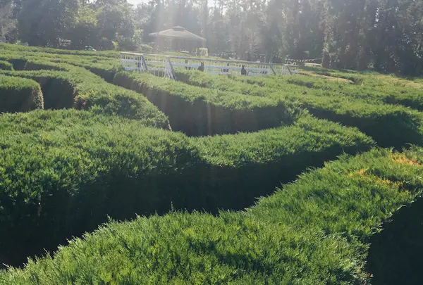 金寧迷路公園/キムニョンミロコンウォン/김녕미로공원