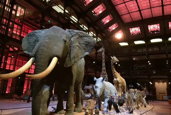 Muséum national d'Histoire naturelle（国立自然史博物館）