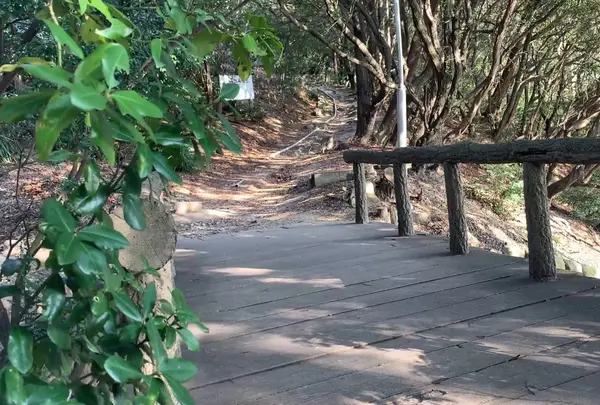 龍神橋