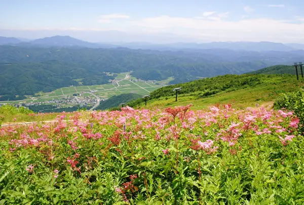 白馬五竜高山植物園