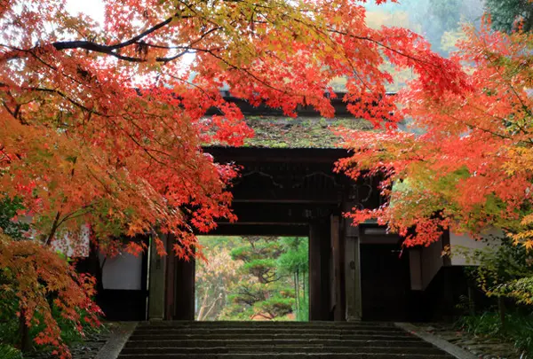 定勝寺