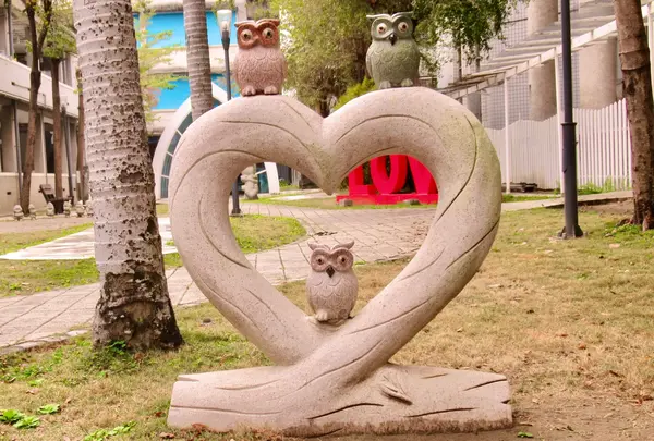 猫頭鷹小公園