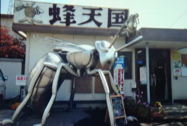 蜂天国