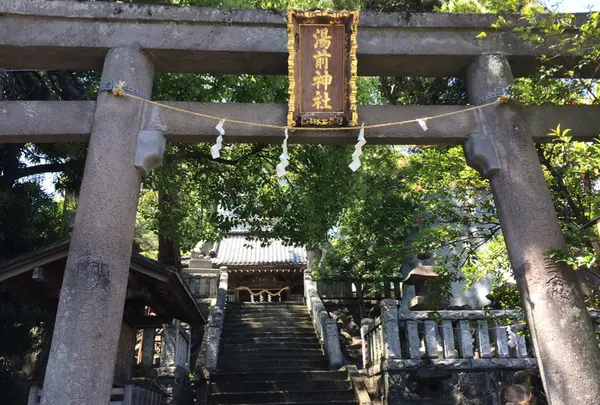 湯前神社の写真・動画_image_1051529