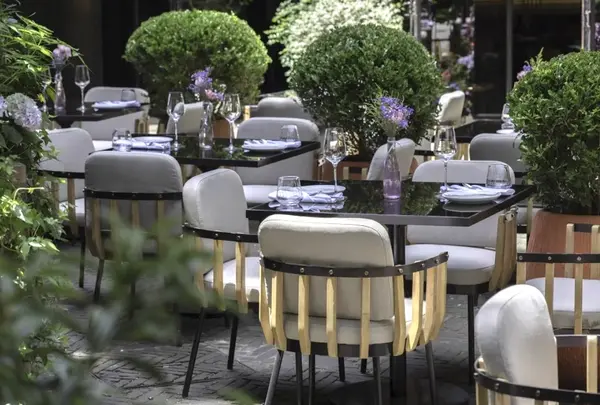 Le Coq wine & bistro 花园の写真・動画_image_1052124
