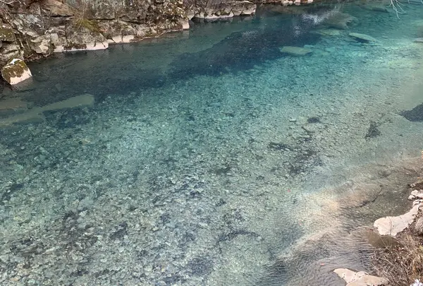 月見橋の写真・動画_image_1052879