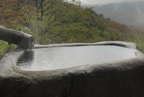 コージーインペンション箱根の山