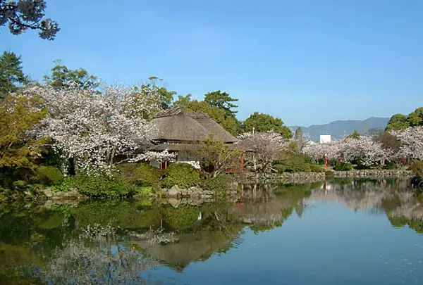 神野公園