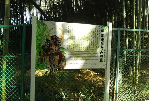 徳川家康の伊賀越え 伝家康ひそみの藪