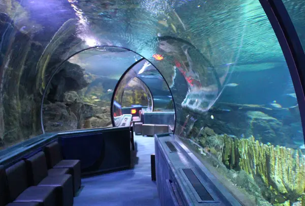 Under Water World（アンダーウォーターワールド）の写真・動画_image_1062392