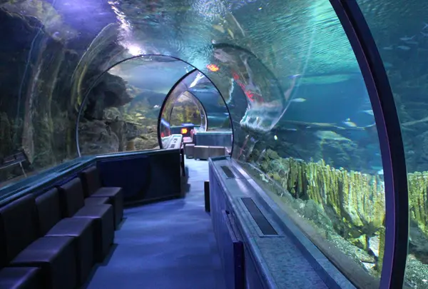 Under Water World（アンダーウォーターワールド）