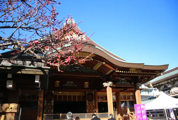 湯島天満宮（湯島天神）
