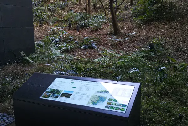 大手町の森