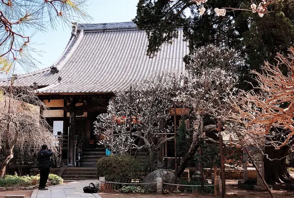 宝戒寺