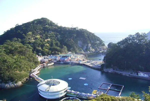 下田海中水族館