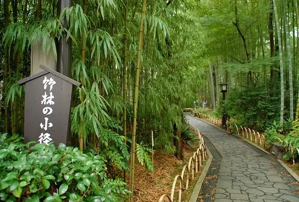 竹林の小径