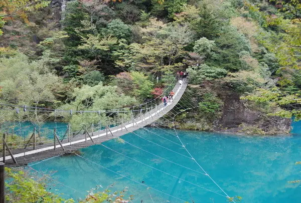 夢の吊り橋
