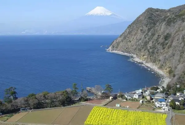 煌めきの丘