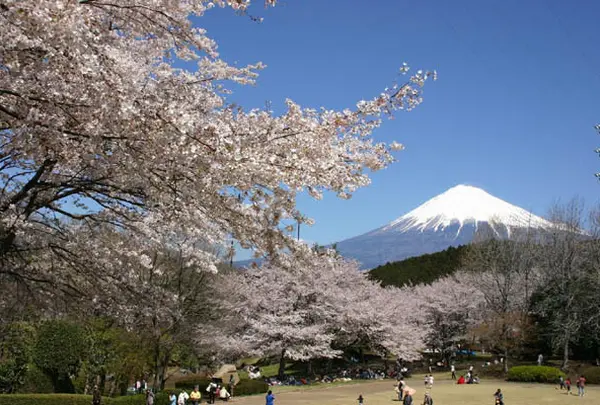 岩本山公園