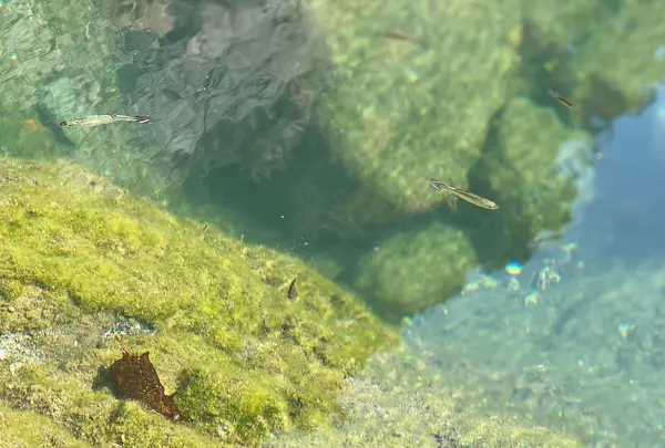 稚児ヶ淵の写真・動画_image_1076264