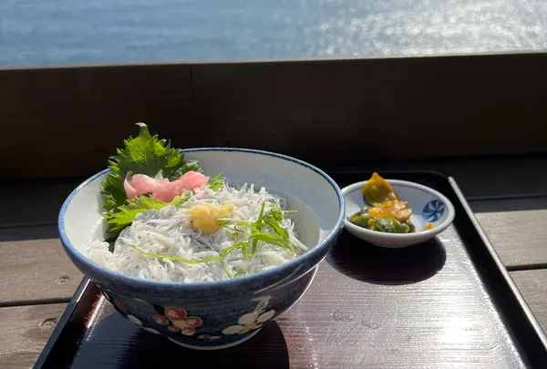 魚見亭の写真・動画_image_1076266