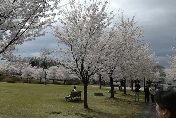 城山公園立体無料駐車場