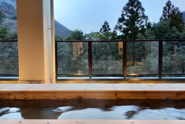 自家源泉かけ流しの宿 箱根翠泉