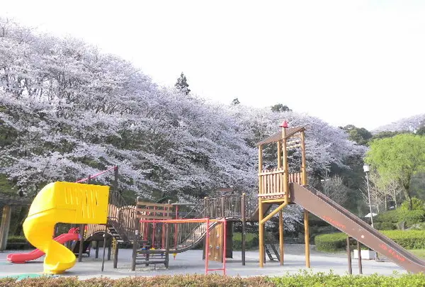 蓮華寺池公園