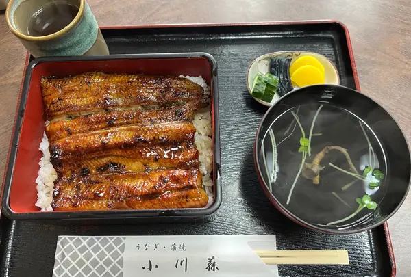小川藤（おがとう）