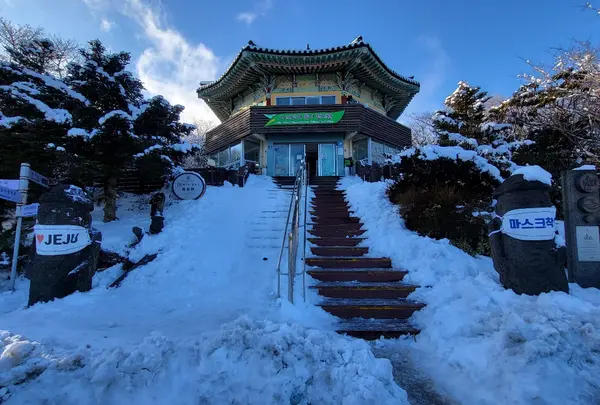 1100番道路展望台