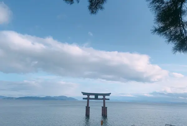 白鬚神社の写真・動画_image_1083277