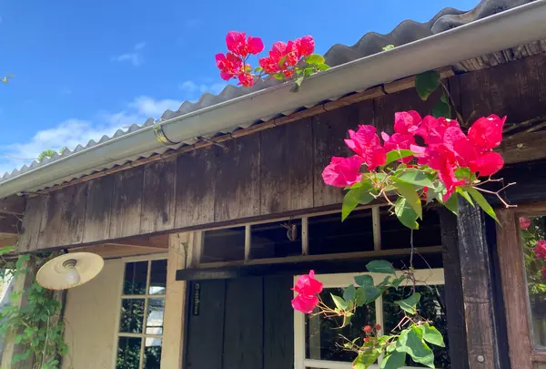 SAKURA HOUSE
