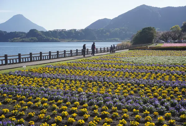 池田湖遊園地