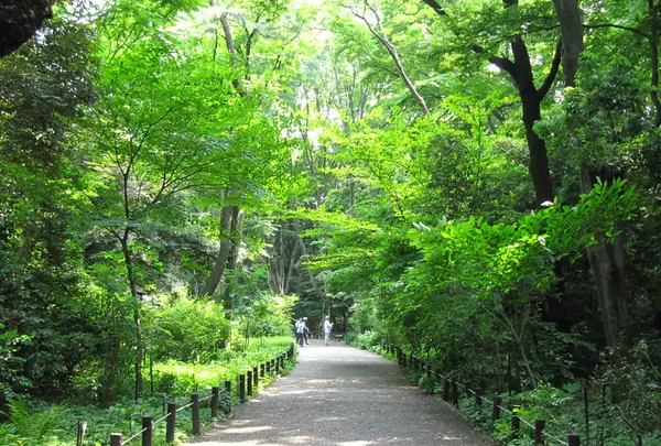 国立科学博物館附属自然教育園